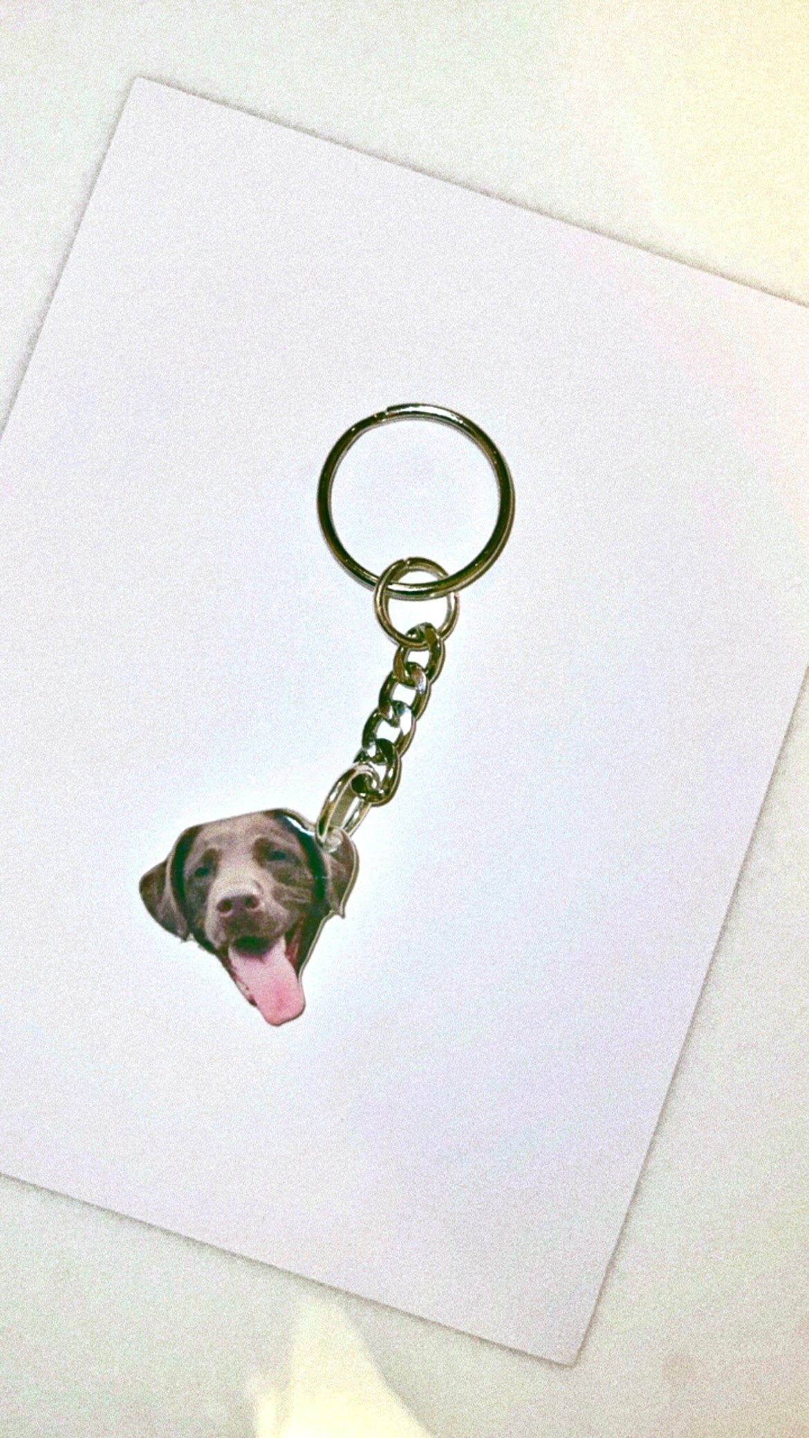 Custom Pet Collage Charm Keychain