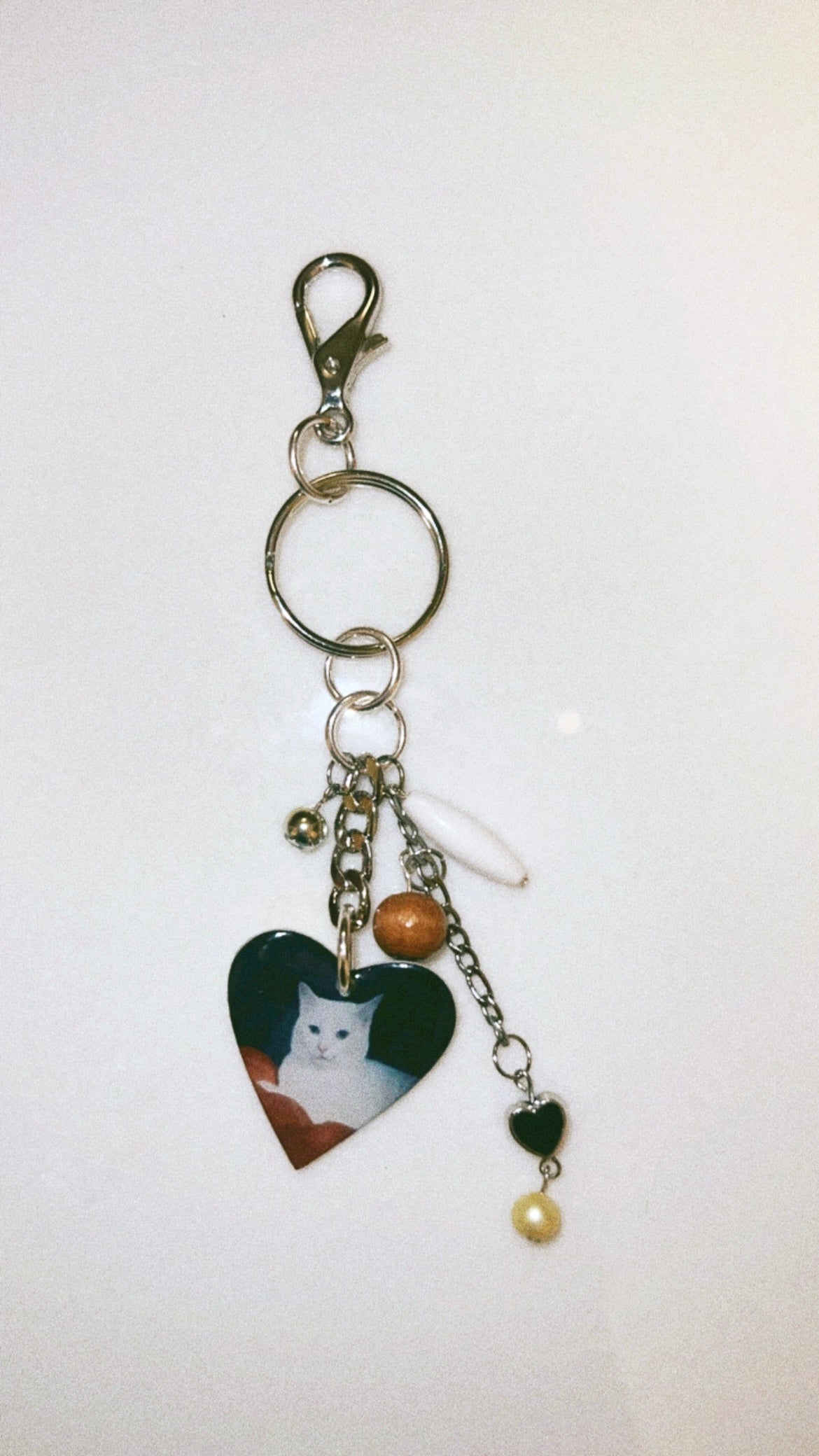 Custom Pet Collage Charm Keychain