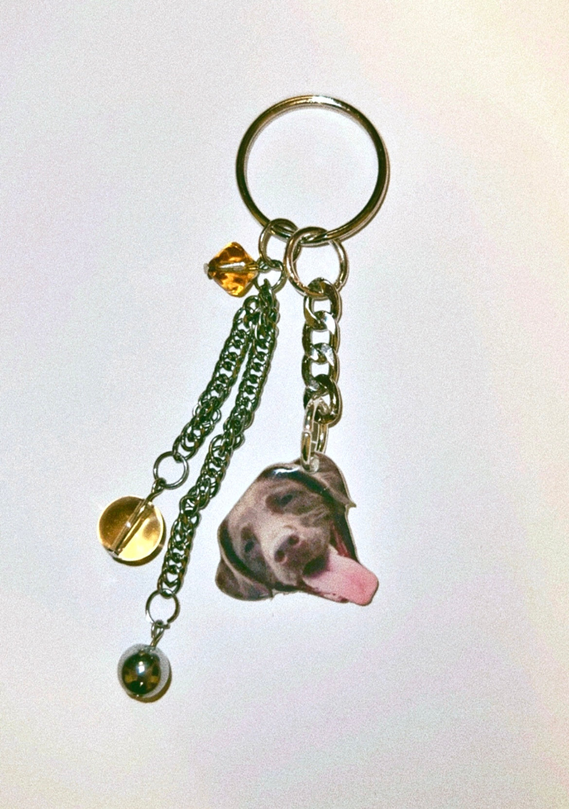 Custom Pet Collage Charm Keychain