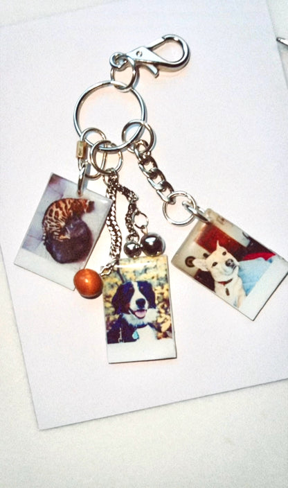 Custom Pet Collage Charm Keychain