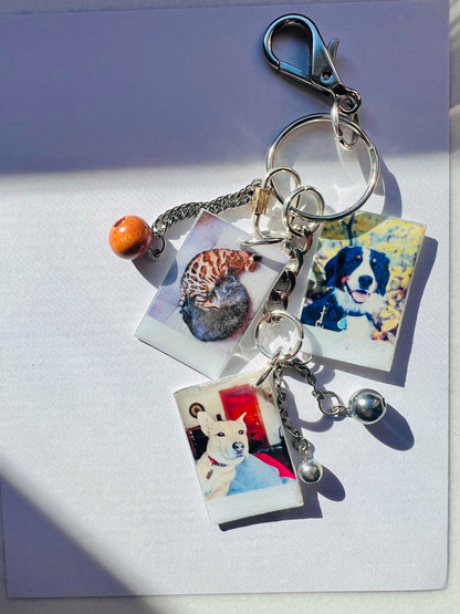 Custom Pet Collage Charm Keychain