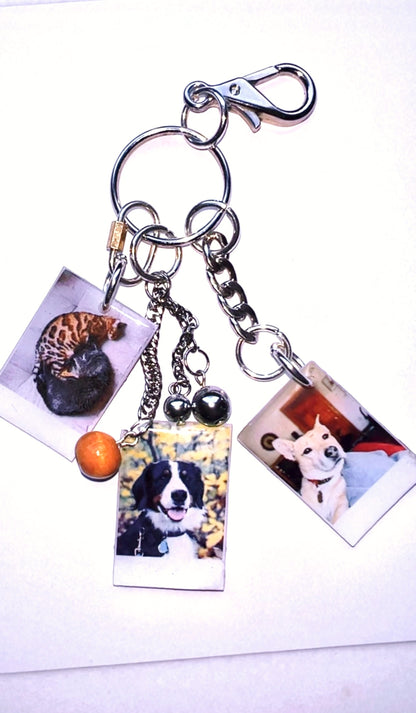 Custom Pet Collage Charm Keychain