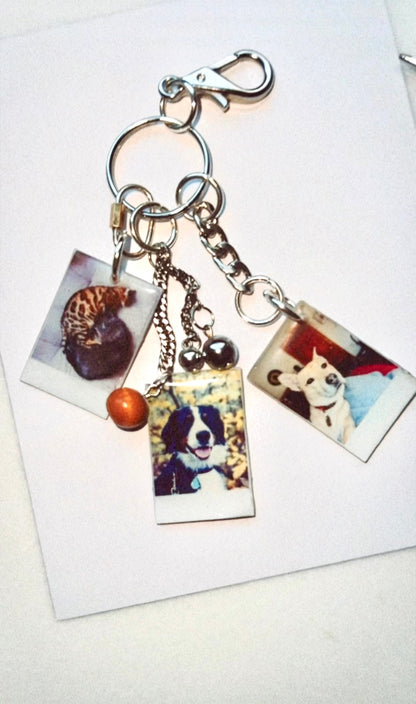 Custom Pet Collage Charm Keychain